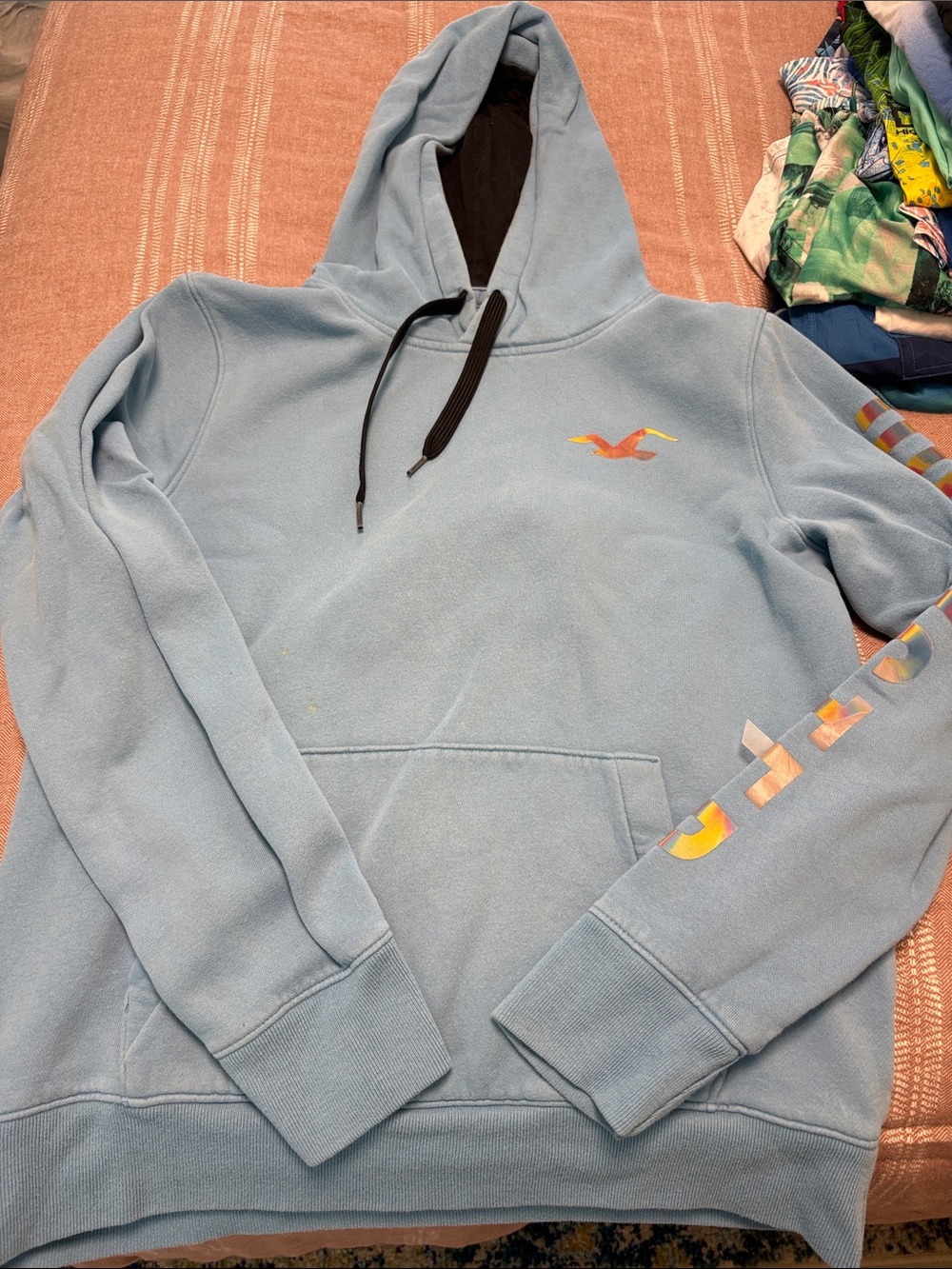 Hollister Pale Blue Pullover Hoodie with Multicolor Logo